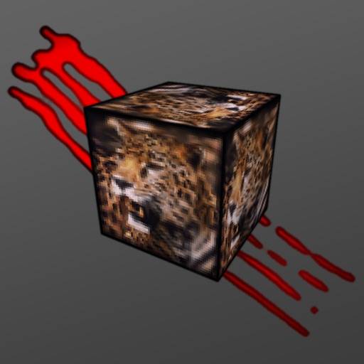 BigPEmu icon