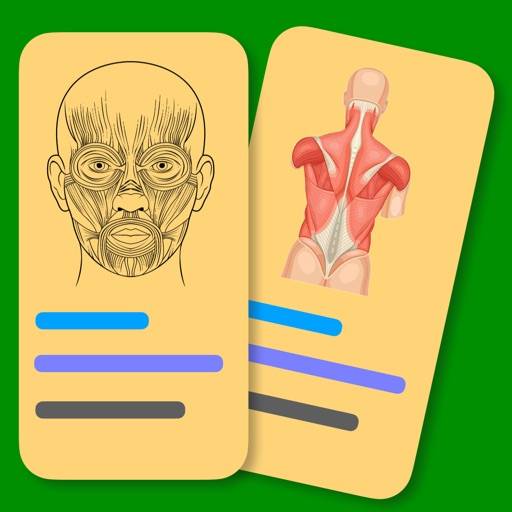 Muscle Flashcards Pro