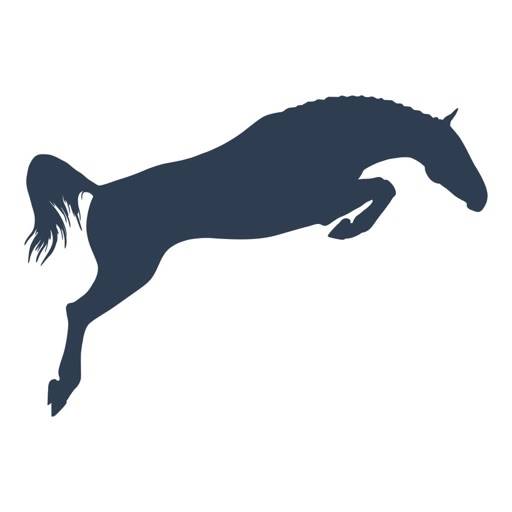 Equijump icon