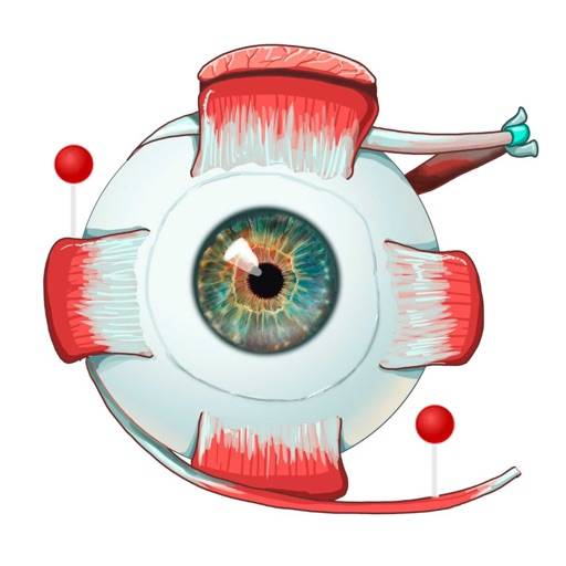 眼部解剖图 — 眼部结构精美全息科普插图