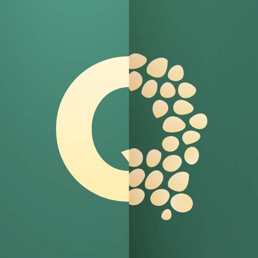 GSDSP Quantum Granulator icon
