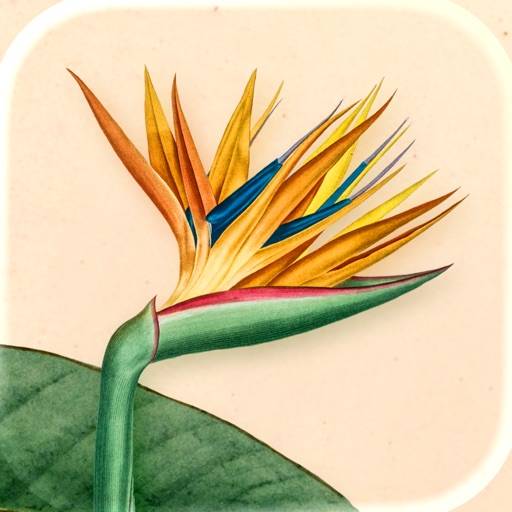 Art of Flora: Cozy Puzzles icon