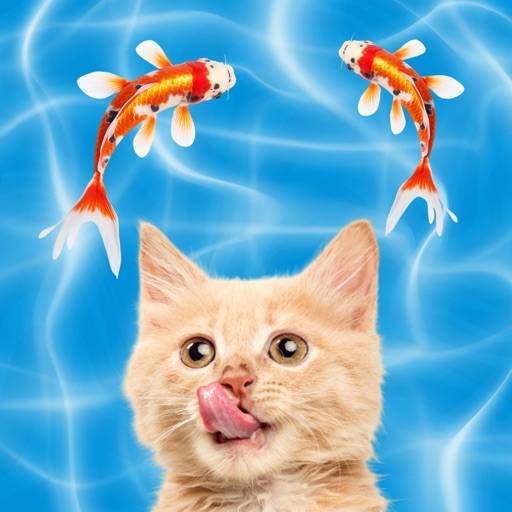 Cat Game - Katt Spel App ikon