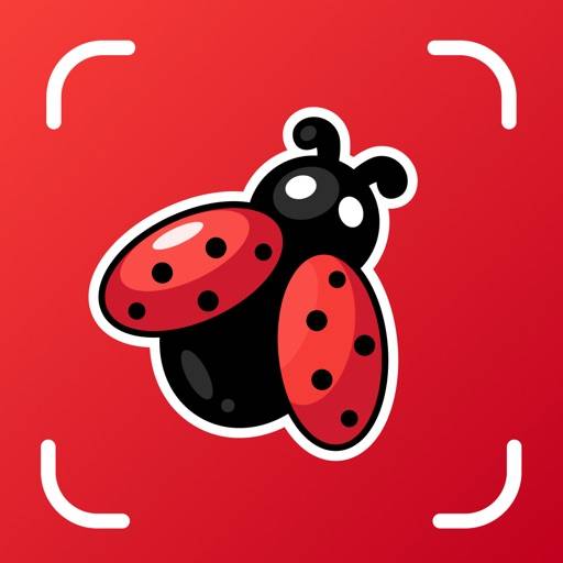 Insektenidentifikator sofort