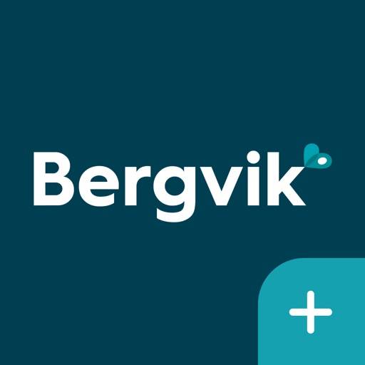 Bergvik Plus icon