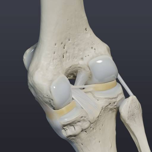 Knee Biomechanics icona