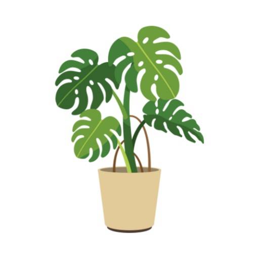 Plant-Care
