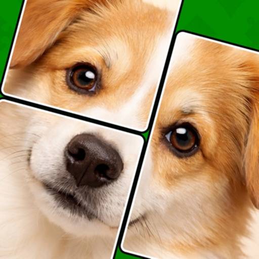 Jigmagic Solitaire: Rompicapo icon