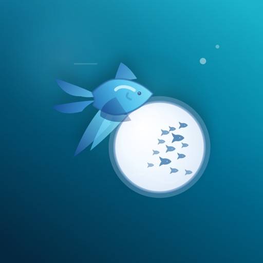 MiroFish