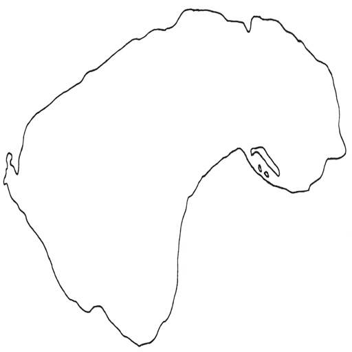 Ovm icon
