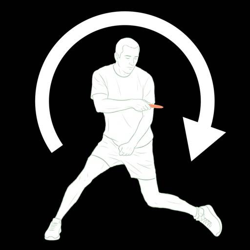 DGFormReplay icon