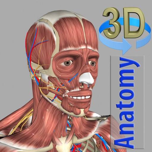 3D Anatomy app icon