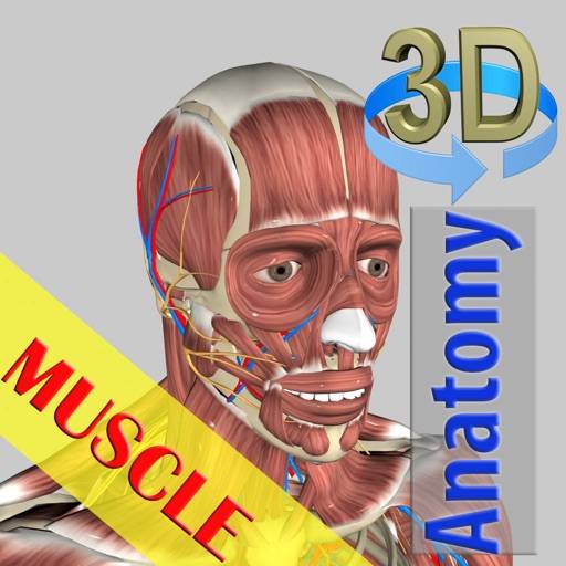 3D Bones and Muscles (Anatomy) icon