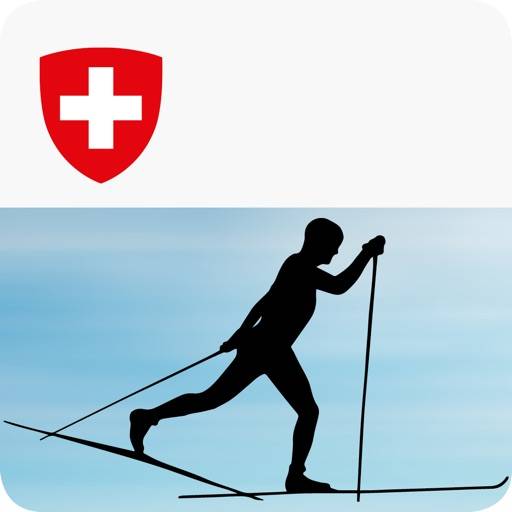 Cross-country skiing technique icon