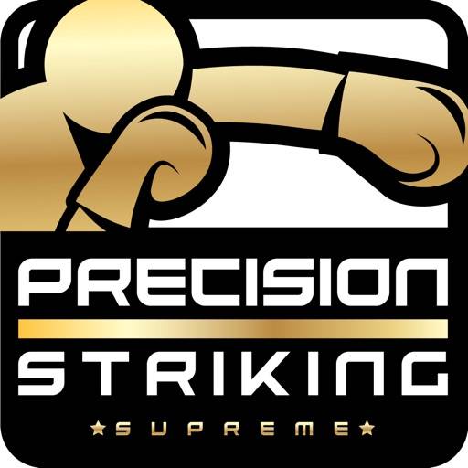 Precision Boxing Coach Pro icon