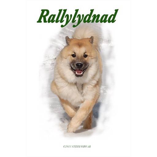 Rallylydnad icon