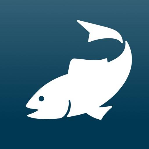 IFiske app icon