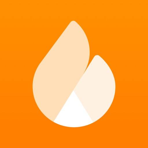 Netatmo Energy app icon