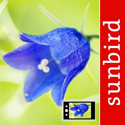 delete Blumen Id Automatik