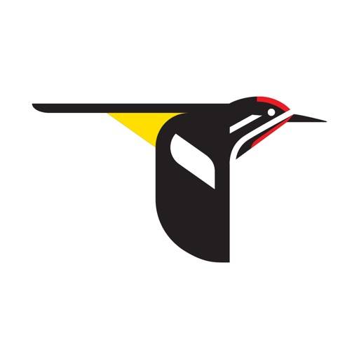 Merlin Bird ID by Cornell Lab icon