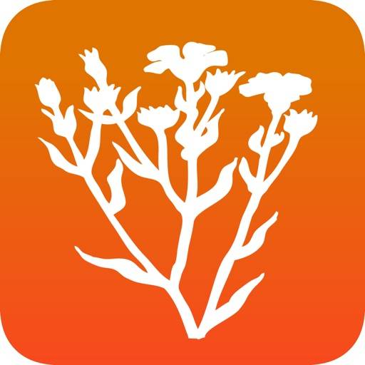Bachblüten für Kinder PRO app icon
