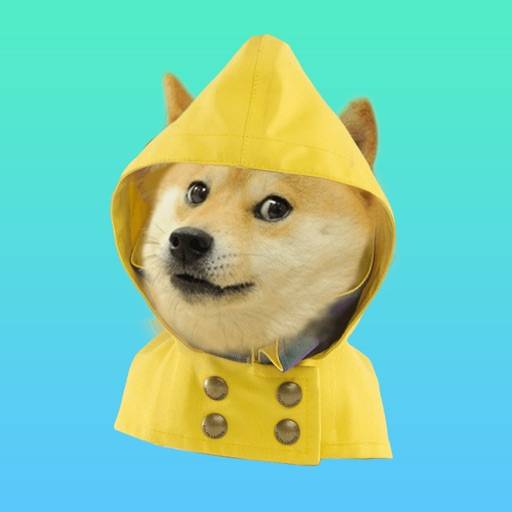 Doge Weather icon