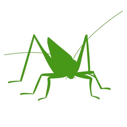 Orthoptera icono