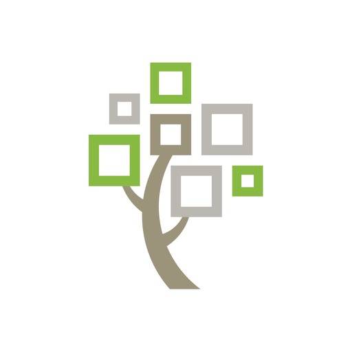 FamilySearch Árbol app icon