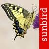 Schmetterling Id app icon