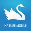 IKnow Birds 2 PRO app icon