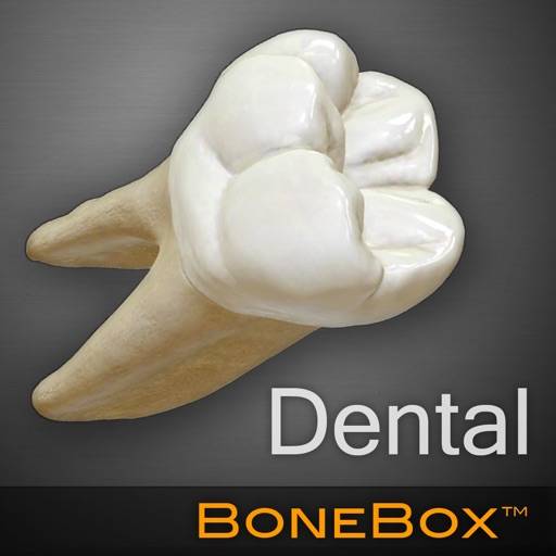 BoneBox™ - Dental Lite ikon