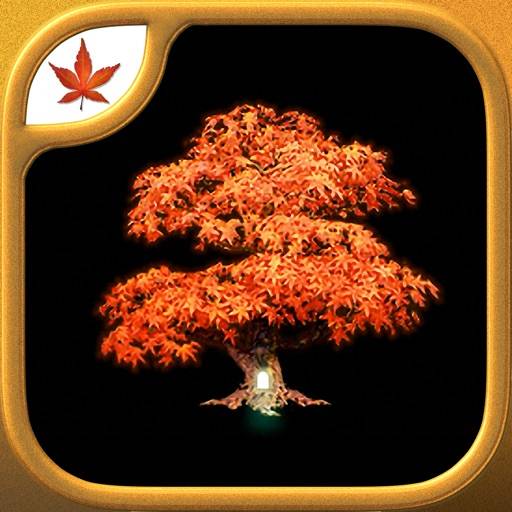 Fire Maple Games icon