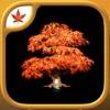 Fire Maple Games icon