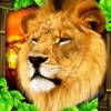 Safari Simulator: Lion icona