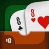 Crazy Eights plus app icon