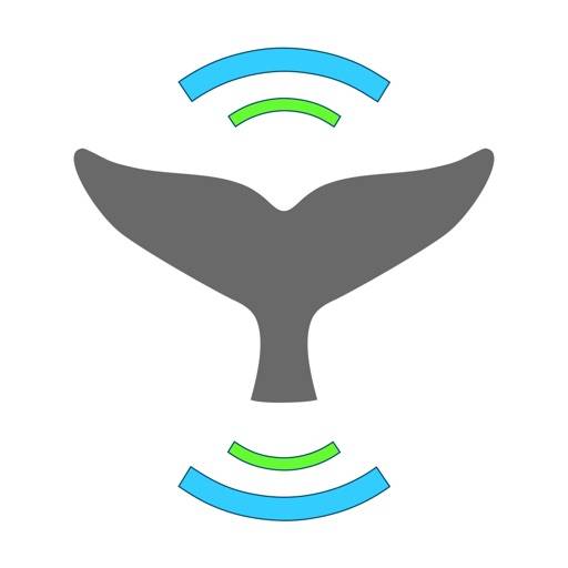 Whale Alert icon