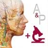 Anatomy & Physiology icono