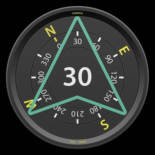 Kompass Pro - Luftfahrt Symbol