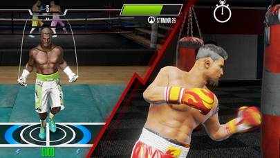 real boxing game