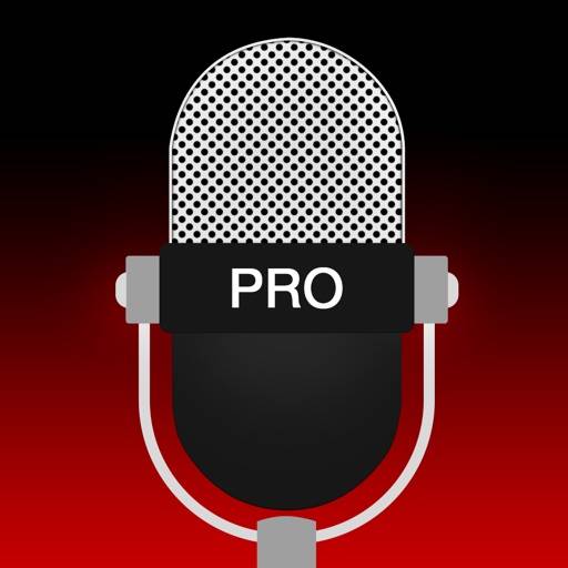 Voice Recorder : Ton aufnehmen app icon
