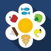 Six Petals app icon