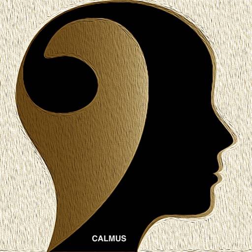 CalmusPlay app icon