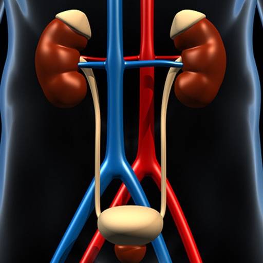 delete Genitourinary System Trivia