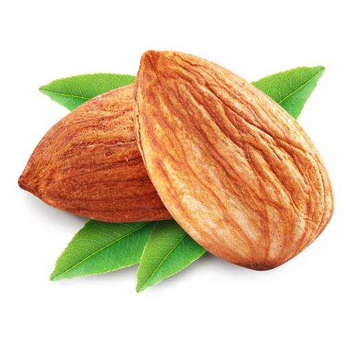 eliminar ProteinCheck: Discover The Top High Protein Rich Foods for a Power Diet!