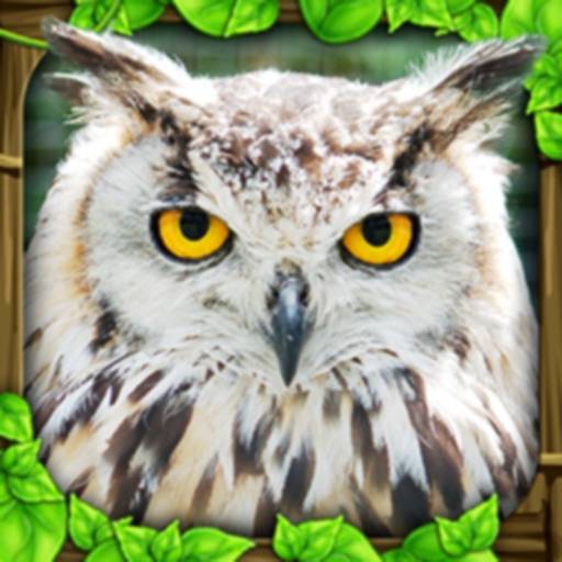 delete Owl Simulator