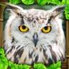 Owl Simulator icona
