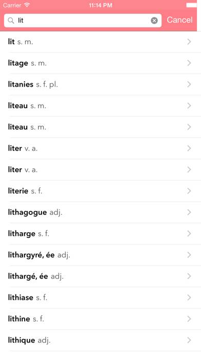DICTIONNAIRE LITTR visual data 4