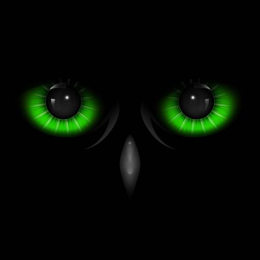 Night Eyes LT icon