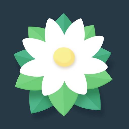 Breath of Light : Relaxing Puzzler icon