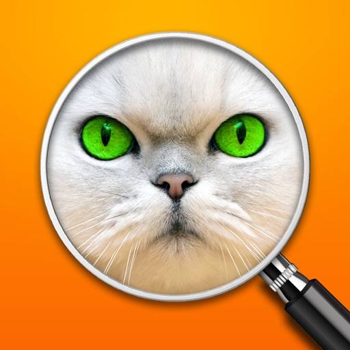 Gissa bilden! ~ Gratis ordspel icon